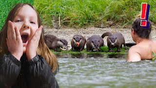 We Need To Stop Otter Harvesting  Battersea Zoo [upl. by Wayne27]