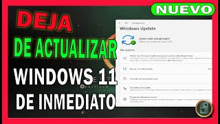 ✅ DEJA de ACTUALIZAR Windows 11 de Inmediato 🔴 Cómo DETENER UPDATE [upl. by Marti66]