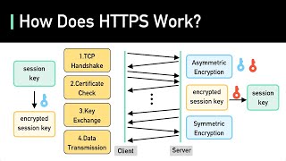 SSL TLS HTTPS Explained [upl. by Aciamaj]