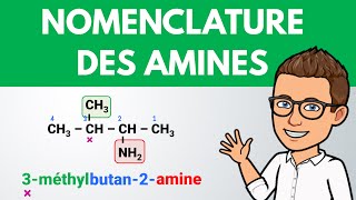 Nomenclature des AMINES ✅ Chimie organique [upl. by Potter464]