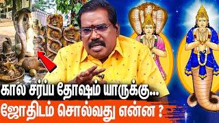 கால சர்ப்ப தோஷம் வந்தால் என்னென்ன பிரச்சனைகள் வரும்  Aditya Guruji About Kaala Sarpa Dosham [upl. by Marice]