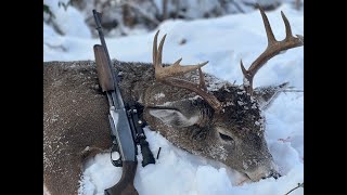 The Lynx Buck  Maine Deer Tracking 2022 [upl. by Egap]