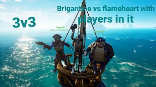 3v3 brigantine vs flameheart with players in it 💀😂 [upl. by Onfre180]