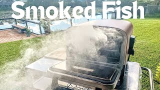 Smoked Fish Dip on the Ninja Outdoor Woodfire Oven  recipe [upl. by Jared375]