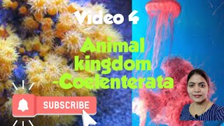 Animal kingdom l phylum coelenterata l Class 11 NCERT NEET Biology chapter 4 l [upl. by Drahnreb637]