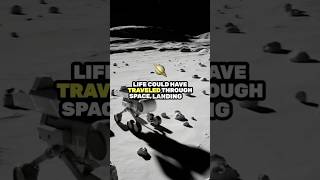 Panspermia Theory youtubeshorts shorts short theory space universe earth astronomy life [upl. by Etnaid]