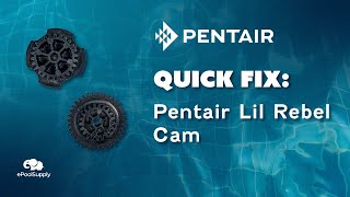 Pentair Lil Rebel Cam  Quick Fix [upl. by Manus]