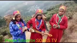 Santali Darjeeling Song [upl. by Cally]