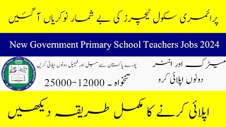 Government Primary School Teachers Jobs 2024 New Government Career Opportunity How to Apply [upl. by Sieber]