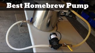 Best Homebrew Pump  Beer Pump Reviews Of 2021 [upl. by Aihsenet279]