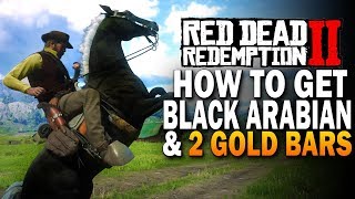 How To Get The Black Arabian amp 2 Gold Bars Red Dead Redemption 2 Horses RDR2 [upl. by Kluge]