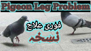 Pigeon Legs Problem and Solution [upl. by Petr938]