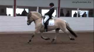 Pony Hingste Show Sjælland 2013  Del 2 [upl. by Nnairrek624]