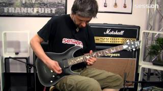 SCHECTER Damien Platinum 6 SB [upl. by Azer]