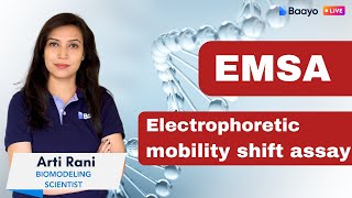 EMSA Electrophoretic mobility shift assay  Gel retardation assay [upl. by Ethbinium818]