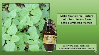 Make Alcohol Free Lemon Balm Tincture [upl. by Bianka]