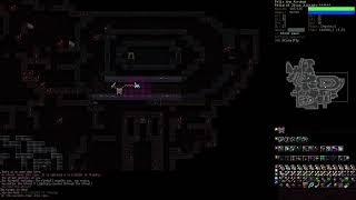 DCSS Dungeon Crawl Stone Soup Win with every species Felid Part 6 [upl. by Mercie257]