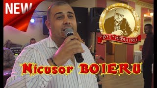 Nicusor BOIERU Nicu Troncea amp Formatia BOIERASI  NEW 2017  Am trecut prin viata [upl. by Nava]