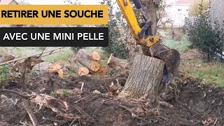 Comment enlever une souche darbre avec une mini pelle [upl. by Phox]