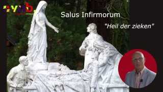 VNB Academie  Beelden in Lourdes  15 Salus Infirmorum [upl. by Addiego]