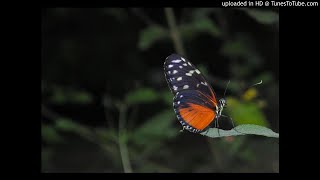 Sukatatachi Jagi Ya  Sanyasta Khadga [upl. by Layol849]