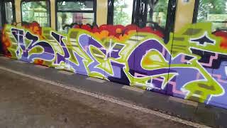 BLESD  DROW GRAFFITI SUBWAY TRAIN SBAHN BERLIN 2024 [upl. by Odey]