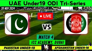 Afghanistan Under19s vs Pakistan Under19s  PAK U19 vs AFG U19  Under19 Live Cricket Match Today [upl. by Alrac]