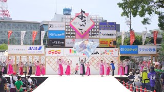 4K EXPOよさこい2025公式ジュニアチーム 高知よさこい 2024 土佐学生よさこい大会 [upl. by Schwartz]