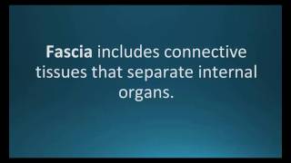 How to pronounce fascia Pharmcabulary for Memorizing Pharmacology Flashcard [upl. by Pillihpnhoj340]