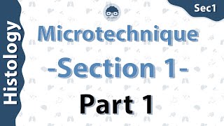 Histology  Microtechnique  part 1  Dr Amro Ashraf [upl. by Inahpets]