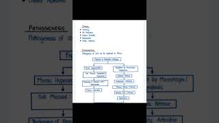 COPD Pathogenesis b pharm Pathophysiology [upl. by Celestyn]