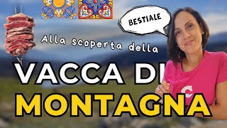 Come vengono allevati la vacca di montagna i cavalli e il suino nero in Sicilia [upl. by Vasily]