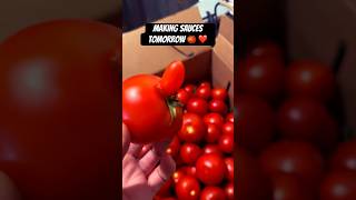 sauce tomato tomatoes heirloom beefsteak farm cooking yummy funny shorts feedshorts us [upl. by Leggat]