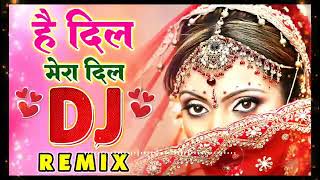 Haye Dil Mera Dil Dj Sog  Hai Dil  Love Special Hindi Song सदाबहार गाने Evergreen Songs  Dj Mix [upl. by Ellitnahc]