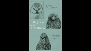 Frankfurter Naturkunden Flugbahn und Federflaum [upl. by Ahsiekal]