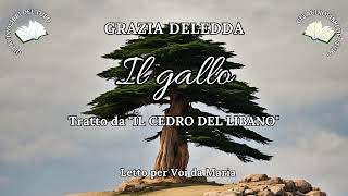 GRAZIA DELEDDA Il gallo da IL CEDRO DEL LIBANO [upl. by Zwiebel]