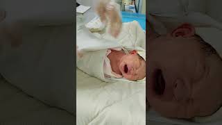 How to wrap a baby after birth shortvideo hospital youtubeshorts [upl. by Oman]