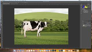 How to insert an image into another image Photoshop  EASY EXPLANATION [upl. by Nnyltak]