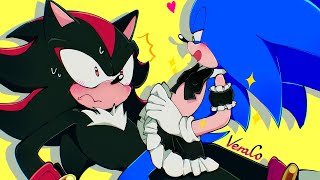 Special Thanks 😱  Shadow x Sonic Sonadow  Comic Dub [upl. by Ettolrahs]