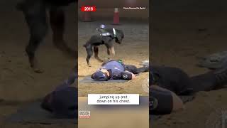 Police Dog Jumps on Officer to Do CPR shorts [upl. by Akeemaj]