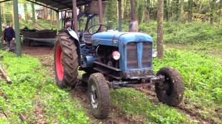 Fordson Major Tractor with 6 cylinder Ford Cargo Engine Conversion [upl. by Helas588]