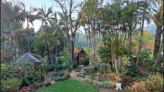 Garden In Clunes NSW Australia [upl. by Coleville]