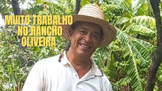 Muita chuva e muito trabalho no Rancho Oliveira [upl. by Nilahs921]