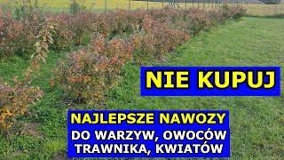 Nie Kupuj wielu Nawozów Najlepsze Nawozy pod Warzywa Trawnik Drzewa owocowe Hortensje Pomidory [upl. by Nelia]