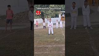 Taekwondo poomsae 3 poomsae taekwondotrainning youtubeshorts taekwondo viralvideo tkdsupriya [upl. by Kery]