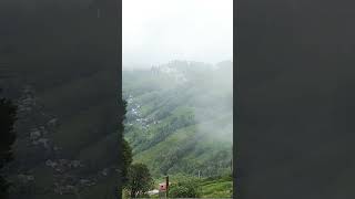 Darjeeling visit vacation trendingshorts trip traveling viralshort [upl. by Elrebmik]