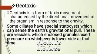 Positive geotaxis and negative phototaxis [upl. by Vasquez]