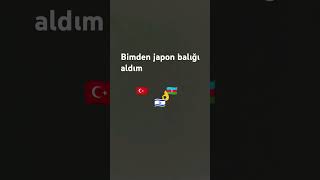 countryballs bimden Japon balığı aldım [upl. by Godwin]