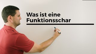 Was ist eine Funktionsschar Teil 1 Parameterfunktion Kurvenschar  Mathe by Daniel Jung [upl. by Tnemelc]