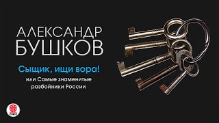 АЛЕКСАНДР БУШКОВ «СЫЩИК ИЩИ ВОРА» Аудиокнига Читает Александр Клюквин [upl. by Ahsets171]